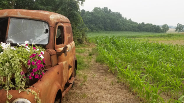 Antique Ford Panel Van