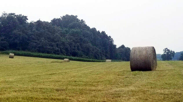 Hay Bales